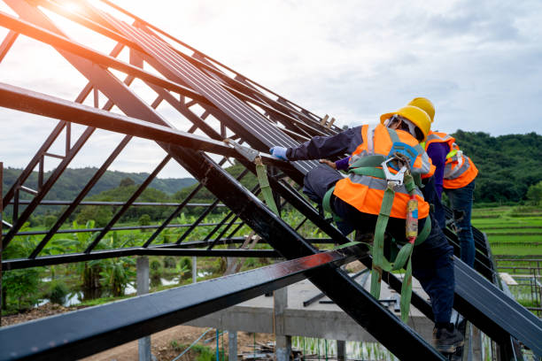 Best Roof Gutter Cleaning  in Chadwicks, NY