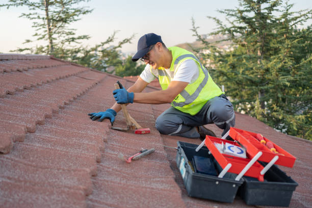 Best Storm Damage Roof Repair  in Chadwicks, NY
